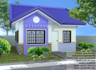 Platinum B. This affordable house and lot package at Grace Park Subdivision is a little similar to Platinum A, only smaller. This Davao home has 3 bedrooms and 1 toilet and bath. Avail this Pag-ibig housing.