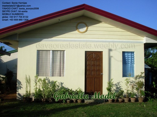 elenita heights subdivision davao gabriella house and lot. davao houses for sale.