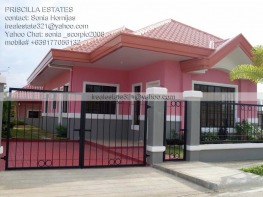 Priscilla Estate is a middle class subdivision in Cabantian, Buhangin, Davao City. Beautiful house and lot packages at affordable and reasonable prices.